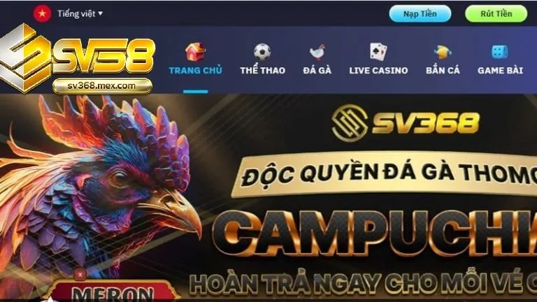 Tổng Quan Nền Tảng Sv368