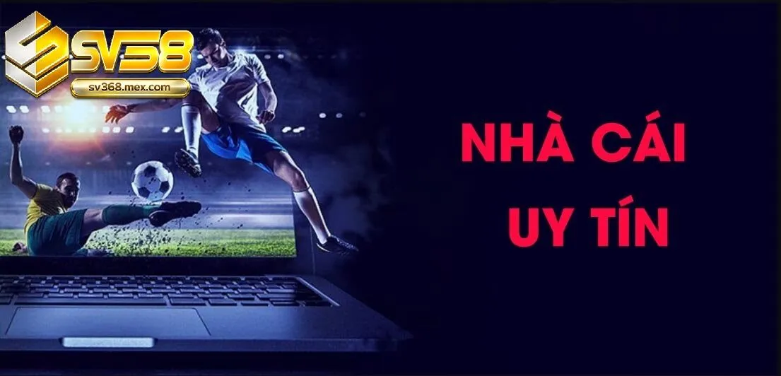 Cải Thiện Giao Diện Và Hiệu Suất